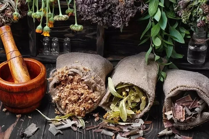 ثبت برند گیاهان دارویی