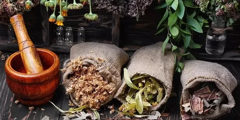 ثبت برند گیاهان دارویی